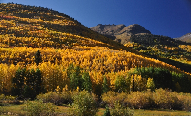 jeep tour to Brown Mountain